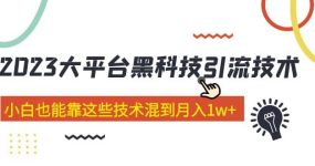 价值4899的2023大平台黑科技引流技术 29节课