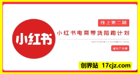 2025小红书虚拟电商实战课，从0到1打造无货源店铺，AI+爆款笔记轻松变现