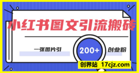 小红书图文引流搬砖，一张图片引200+创业粉，单日变现日数张