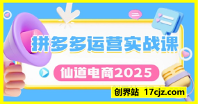 电商2025拼多多运营实战课