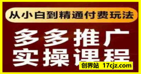 拼多多推广实操课程，从小白到精通付费玩法