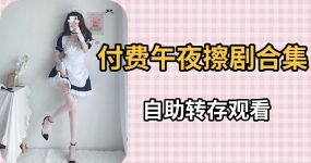 付费午夜擦边剧合集