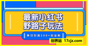 最新小红书野路子玩法，单日引流200+创业粉