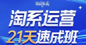 淘系运营21天速成班(更新25年4月)，0基础轻松搞定淘系运营，不做假把式