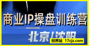 2025IP流量操盘手训练营