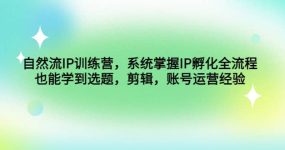 自然流IP训练营，系统掌握IP孵化全流程，也能学到选题，剪辑，账号运营经验