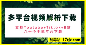 多平台视频解析下载