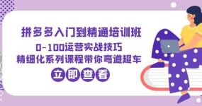 2023拼多多入门到精通培训班：0-100运营实战技巧 精细化系列课带你弯道超车