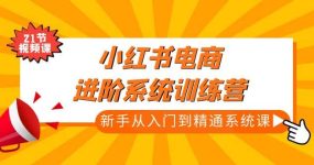 小红书电商进阶系统训练营：新手从入门到精通系统课（21节视频课）