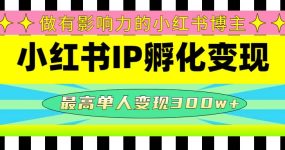 某收费培训-小红书IP孵化变现：做有影响力的小红书博主