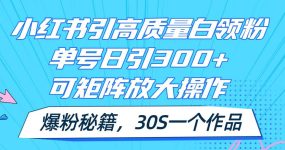 小红书引高质量白领粉，单号日引300+，可放大操作，爆粉秘籍！30s一个作品