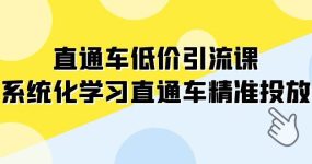 直通车-低价引流课，系统化学习直通车精准投放（14节课）