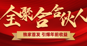 全聚合项目引爆年前收益！日入1000＋小白轻松上手，效果立竿见影，暴力吸“金”