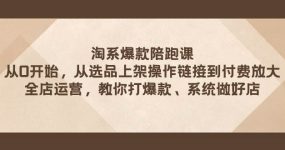 淘系爆款陪跑课 从选品上架操作链接到付费放大 全店运营 打爆款 系统做好店