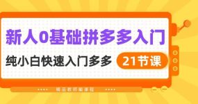 新人0基础拼多多入门，纯小白快速入门多多（21节课）