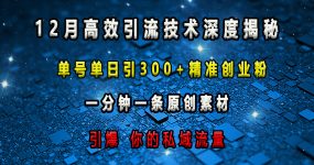 12月高效引流技术深度揭秘 ，单号单日引300+精准创业粉，一分钟一条原创素材，引爆你的私域流量