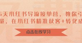 16天-小红书 导流接单营，教你引爆流量，在小红书精准获客+转化成交