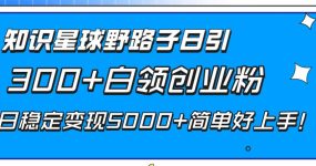 知识星球野路子日引300+白领创业粉，日稳定变现5000+简单好上手！
