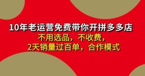 拼多多-合作开店日入4000+两天销量过百单，无学费、老运营教操作、小白…