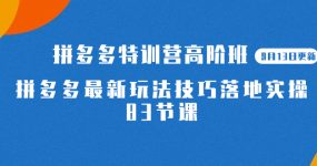 2023拼多多·特训营高阶班【9月13日更新】拼多多最新玩法技巧落地实操-83节