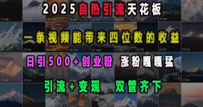 2025自热引流天花板，一条视频能带来四位数的收益，引流+变现双管齐下，日引500+创业粉，涨粉嘎嘎猛