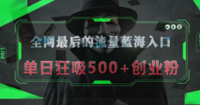 全网最后的流量蓝海入口，半小时引流50+创业粉，单日狂吸500+创业粉