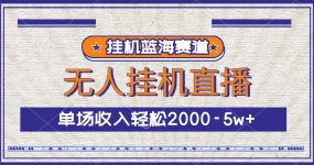 挂机蓝海赛道，无人挂机直播，单场收入轻松2000-5w+
