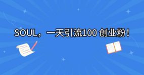 SOUL，一天引流100 创业粉