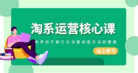 淘系-运营核心课，你学的不是只方法是创造方法的根源（190节课）