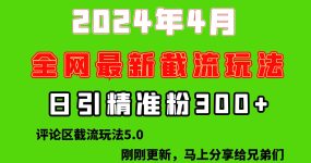 刚刚研究的最新评论区截留玩法，日引流突破300+，颠覆以往垃圾玩法，比…