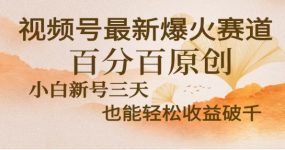 视频号独家玩法，老年养生赛道，无脑搬运爆款视频，日入2000+