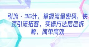 引流·36计，掌握流量密码，快速引流拓客，实操方法层层拆解，简单高效