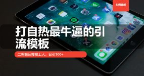 打自热最牛逼的引流模板，日引300+，二剪搬运嗖嗖上人