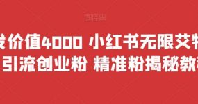 首发价值4000 小红书无限艾特暴力引流创业粉 精准粉揭秘教程