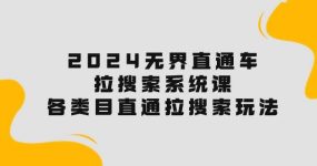 2024无界直通车·拉搜索系统课：各类目直通车 拉搜索玩法！