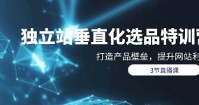 独立站-垂直化选品训练营，打造产品壁垒，提升网站利润（3节直播课）