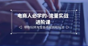 电商人必学的-流量实战进阶课：带你玩转淘宝各项规则和玩法（12节课）