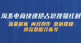 淘系电商快速抢占短视频红利：流量解析 内容创作 渠道投放 爆款数据分析等
