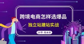 跨境电商怎样选爆品，独立站建站实战（20节高清无水印课）