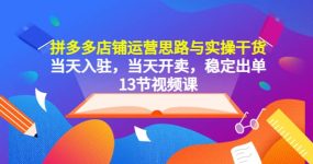 拼多多店铺运营思路与实操干货，当天入驻，当天开卖，稳定出单（13节课）