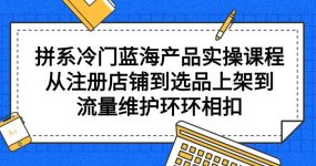 拼系冷门蓝海产品实操课程，从注册店铺到选品上架到流量维护环环相扣