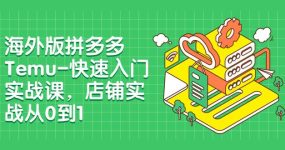 海外版拼多多Temu-快速入门实战课，店铺实战从0到1（12节课）