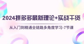 2024拼多多 最新理论+实战干货，从入门到精通全链路多角度学习-7节课