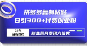 拼多多复制粘贴日引300+付费创业粉，割韭菜月变现六位数最新教程！