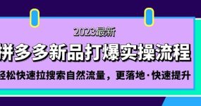 拼多多-新品打爆实操流程：轻松快速拉搜索自然流量，更落地·快速提升