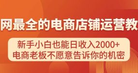 电商店铺运营教学，新手小白也能日收入2000+，电商老板不愿意告诉你的机密
