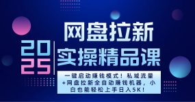 2025一键启动赚钱模式！私域流量+网盘拉新全自动赚钱机器，小白也能轻松上手日入5K