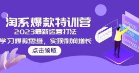 2023淘系爆款特训营，2023最新运营打法，学习爆款思维，实现利润增长