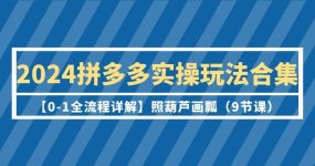 2024拼多多实操玩法合集【0-1全流程详解】照葫芦画瓢（9节课）