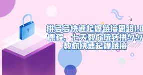 拼多多快速起爆链接思路1.0课程，七天教你玩转拼夕夕，教你快速起爆链接